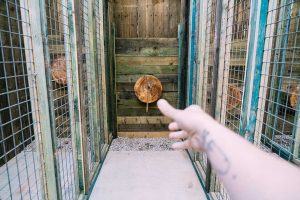 skyparkaxthrowing skyparkaxthrowing